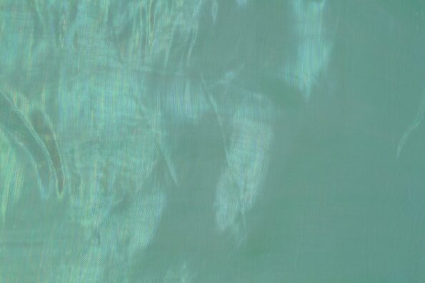 IMG 8895