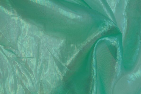 IMG 8896