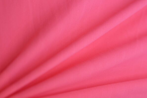 IMG 3128 Scaled 1.jpg