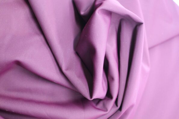 IMG 3157 Scaled 1.jpg