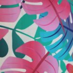 IMG 3554 Scaled 1.jpg