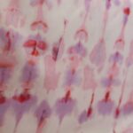 IMG 3602 Scaled 1.jpg