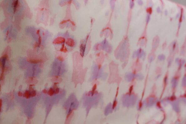 IMG 3602 Scaled 1.jpg